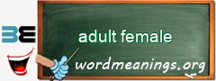WordMeaning blackboard for adult female